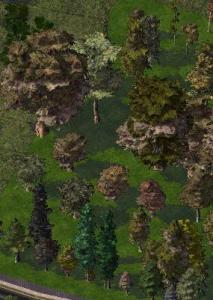 DT_TREES_0012