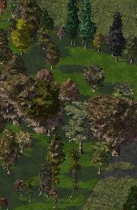 DT_TREES_0023