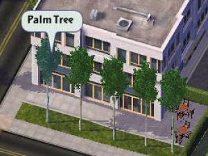 PalmToAspen